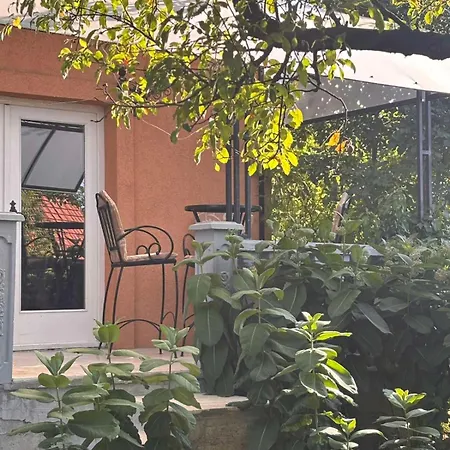 Апартаменты Kuca Za Odmor Braca Jevtic Врнячка-Баня